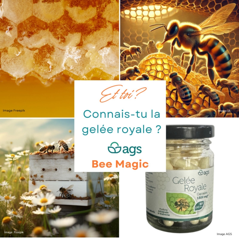 L'élixir royal de la ruche