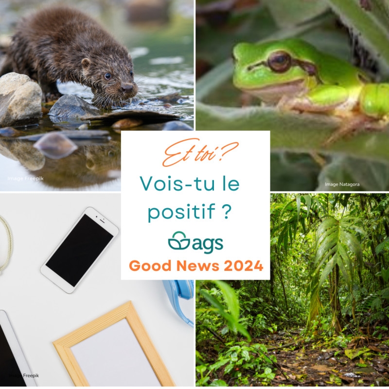 Bonnes nouvelles 2024