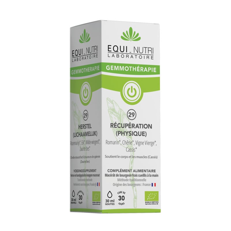 No. 29 PHYSICAL RECOVERY